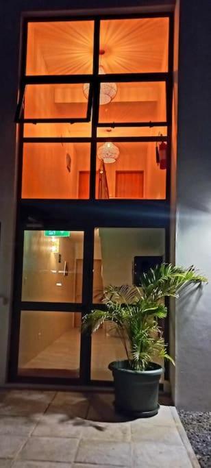 Bois Mapou Self Catering Apartments Unit 204 Rivière Noire Екстериор снимка